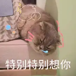  萌宠表情包必须爱我没有选择