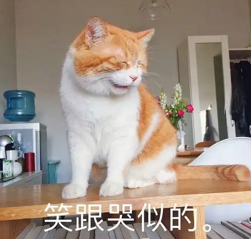  重磅持哈尔滨公交卡可乘全国210城公交还有5个消息直接影响你的车子票子日子