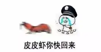  民警辅警都是皮皮虾.........