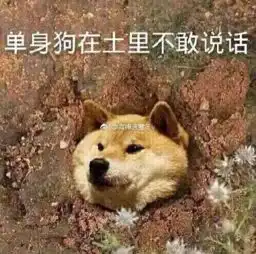  国家终于要分配对象了每日轻松一刻5月18日午间版