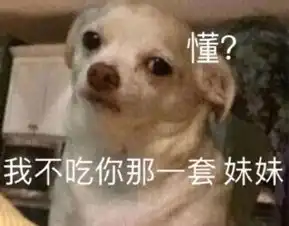  中老年相亲现场硬核表白,你们都跟阿姨学着点