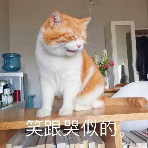 当我没钱了,我爸说