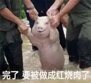  hhh一个蹿红朋友圈的表情大佬