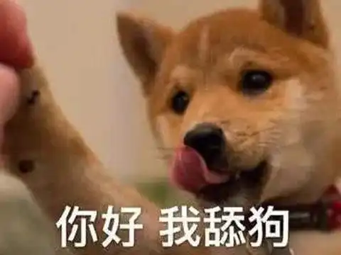 暗示表白撩妹表情包舔狗