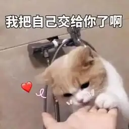 我已经躺好了表情包脱掉