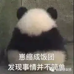  萌萌哒宠物表情包