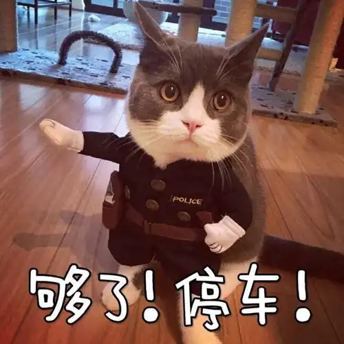  朴海镇口碑很好吗