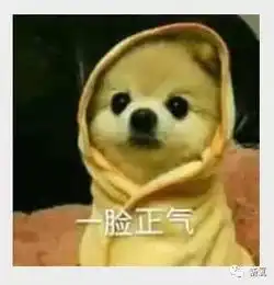  林心如这是整形过度把鼻子整断了
