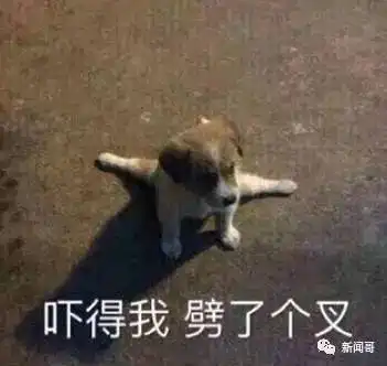  大神花露水沃尼玛666皮炎平,这些高仿产品是想把我笑死