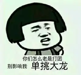  王者荣耀斗图表情包第二十期别影响我单挑大龙