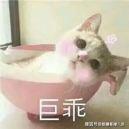  搞笑段子家里让相亲,介绍人说对方是英语老师,比俺大六岁