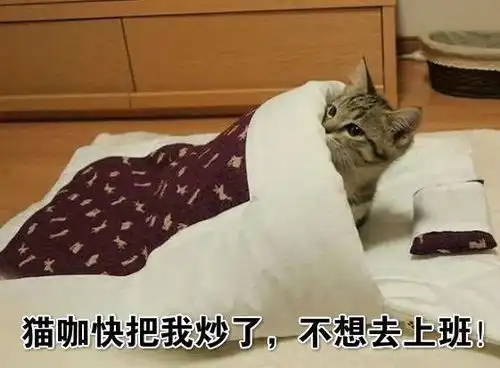  妹子担心仓鼠一个人在家可怜,于是带它回老家,结果...更可怜了哈哈哈哈哈