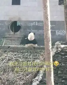  招募大熊猫保护清明小长假,来把滚滚做成表情包吧
