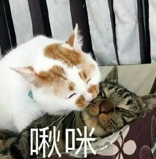  五角场规模最大的室内儿童游乐场来了我竟然玩得比熊孩子还疯