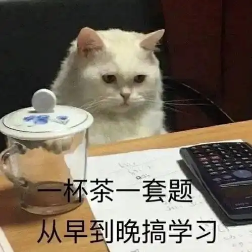  杯茶一套题从早到晚搞学习从早到晚一套学习表情