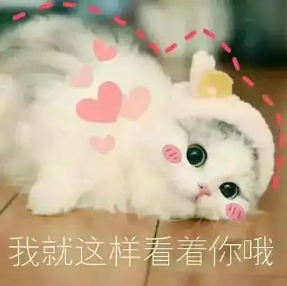 太可爱了捂心口表情包炫富