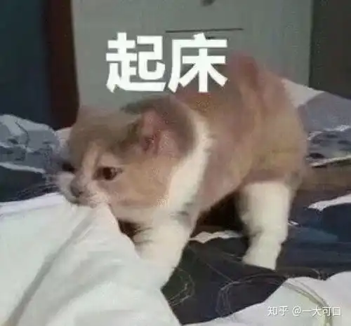 huh猫表情包动图放假