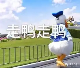 奋斗的表情包图片鸭鸭