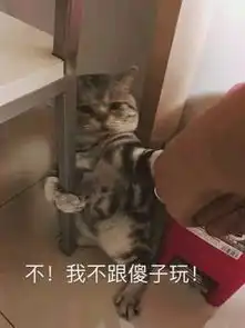  今晚80后脱口秀那些陪伴我们的段子与段子手们暇享乐