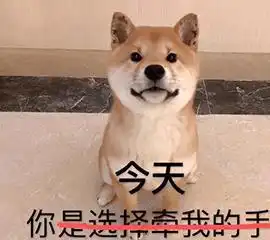  这些狗很值得养,它们都非常忠心可靠,别错过啦