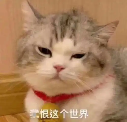  跟你超配的沙雕表情包