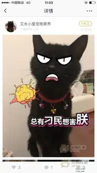  一大波表情包说来就来,帅主子已被玩坏篱笆社区手机版