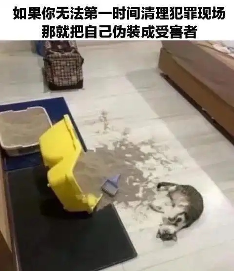  搞笑解压图片合集