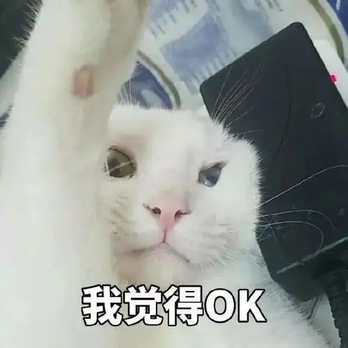  0元包邮免费领猫粮你家猫一年的口粮我也承包了