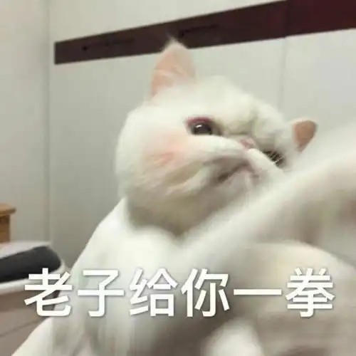  超萌表情包σω