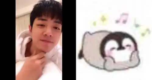  论肖战跟表情包的适配性