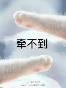  猫爪牵手表情包
