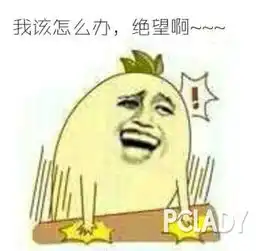  求问黄皮用什么牌子的口红好,什么颜色最适合