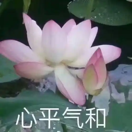  王丽坤高冷人设崩塌没想到她竟有两幅面孔