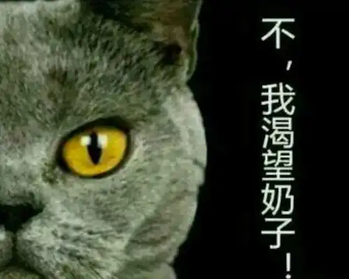 斗图关于胸大的表情包胸