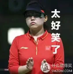 图荒表情包张氏