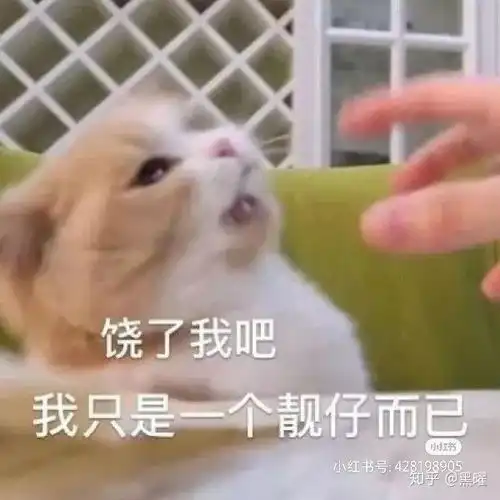 哎等等别走表情包配音幽