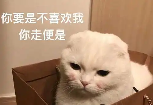  据说养猫后,都发生了这些可怕的事
