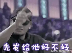 你有freestyle吗中国有嘻哈这款综艺势头正盛