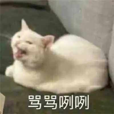  表情包我真的忍无可忍啦