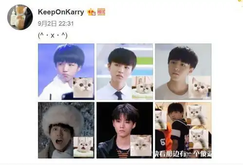  王俊凯喵系表情包合集可爱百变的凯宝宝