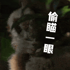  哇这组表情包太萌了,速速下载