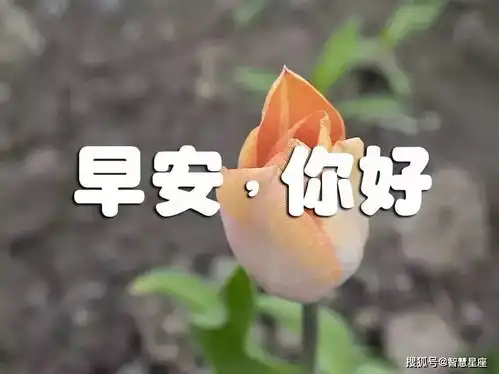  6月16日夏季群发微信早上好最新唯美表情包,好看的早上好祝福语图片带字