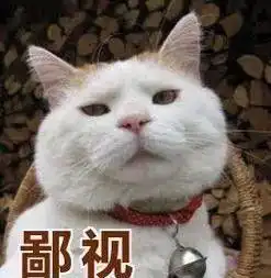  表情包界的扛把子这些猫咪你都认识吗