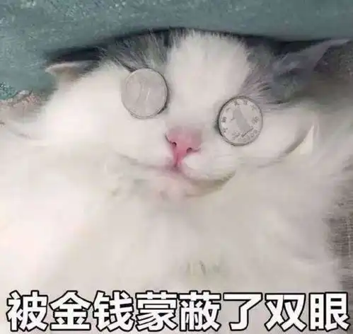  百万富翁正式上线今晚17点开启疯狂撒币模式