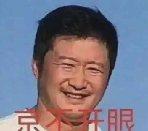 中年人表情包图片吴京