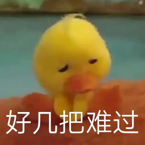  有这种小黄鸭的表情包么,谢谢