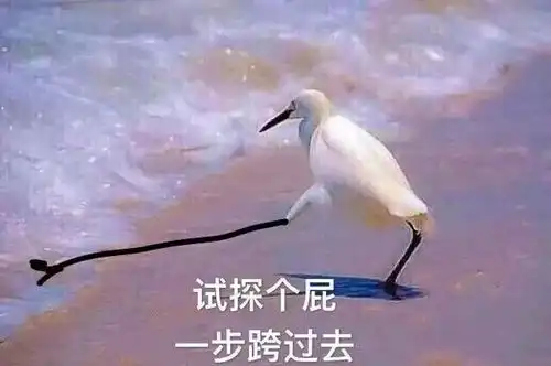  溯洞你永远错不过的宫廷斗争青春暴击和童年白月光