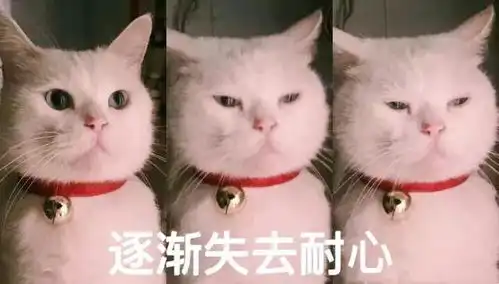  你们南方这么多年都冻过来了,现在居然要求供暖