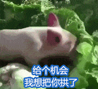  沙雕表情包你也有今天