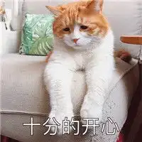  生无可恋猫咪表情下载生无可恋猫咪超萌表情包高清无水印极光下载站
